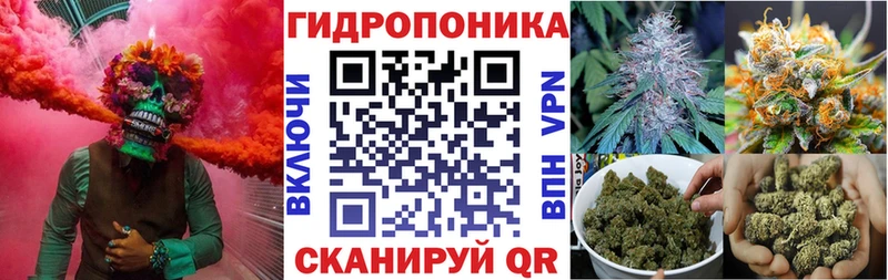 Бошки Шишки OG Kush  Онега 
